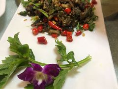青花椒鳝段-蒲氏烤鸭(百寿路店)