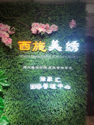 -西施无菌半永久纹绣眉眼影唇轻增发纹发际线