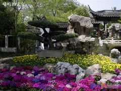 -盆景园(扬州大运河文化旅游度假区)