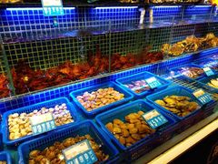 水产区-必点海鲜·鲅鱼水饺(鞍山西道店)