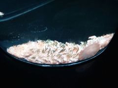 -上海海洋大学鱼文化博物馆(军工路校区)