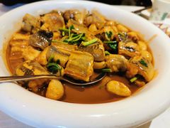 辣烧活鳗林-开海·红岛海鲜虾水饺(八大关店)