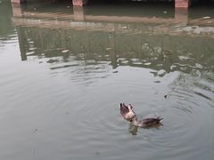-南宁南湖公园