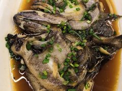 -梁溪河畔·吉府花园(南长街南下塘店)