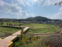 -红山村