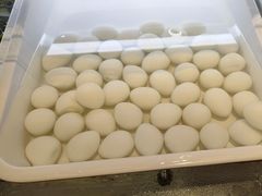 -重庆老船夫冷锅鱼(黄金路店)