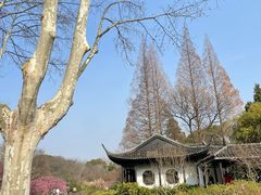 -红梅公园