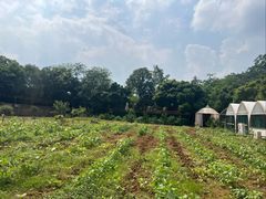 -三圣花乡旅游区