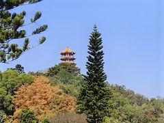 -深圳仙湖植物园