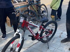 -道路口单车爱瓦士dahon大行