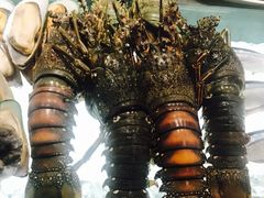 -好日子皇冠假日酒店·君怡咖啡厅(特美思大厦店)