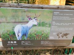 -石家庄市动物园