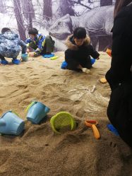 -恐龙探索乐园(磁器口店)