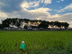 -光明小镇欢乐田园