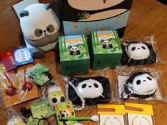 -轩客会(熊猫书店)
