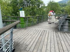 -西湖风景区-江洋畈生态公园