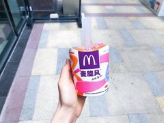 西班牙红提口味麦旋风-麦当劳(东苑丽宝商业广场店)