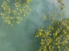 -北海金海湾红树林生态旅游区