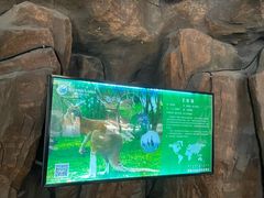 -鄂尔多斯野生动物园