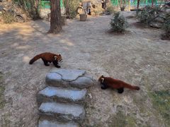 -西安秦岭野生动物园