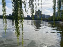 -迎泽公园