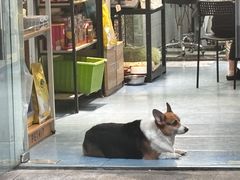 -国强牛肉(洋河总店)