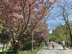 -少华山国家森林公园