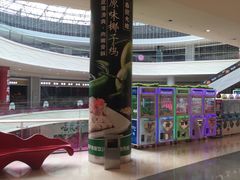 -春润大地海南椰子鸡(沙井京基百纳广场店)