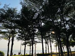 -深圳湾公园(南山区)