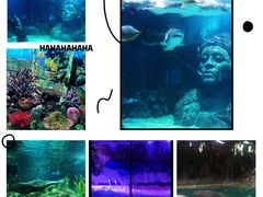 -暹罗海洋世界