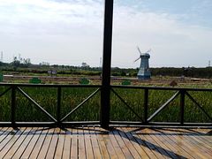 -武汉紫薇都市田园