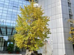 -西南政法大学(渝北校区)
