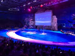 -华夏文旅海洋公园