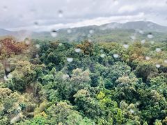 -热带雨林自然公园