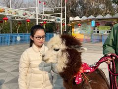 -无锡动物园·太湖欢乐园