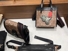 -COACH蔻驰(华润万象城店)