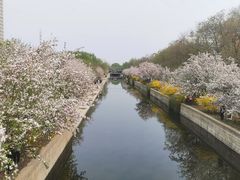 -元大都城垣遗址公园