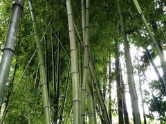 -上海孙中山故居纪念馆