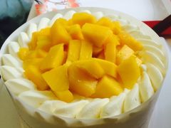 -维尔纳斯·生日蛋糕·动物奶油冰淇淋蛋糕(六里桥店)