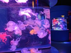 -太平洋海底世界