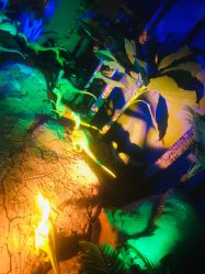 -恐龙探索乐园(磁器口店)