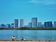 -天鹅湖体育公园