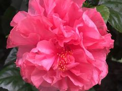 iphone_upload_pic-鹅滋道(甘坑古镇店)