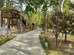 -南宫五洲植物乐园