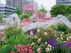 -龙美术馆(西岸馆)