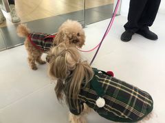 -王府井奥莱临潼小镇(临潼店)