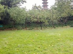 -上海市龙华烈士陵园