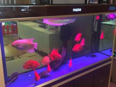 -北京临空智选假日酒店