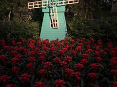 -南宫五洲植物乐园