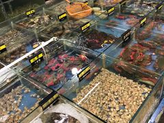 -明记海鲜大排档(巽寮湾店)